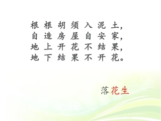 五年级语文上册第四组15落花生第一课时课件