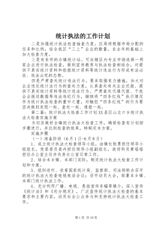 统计执法的工作计划 