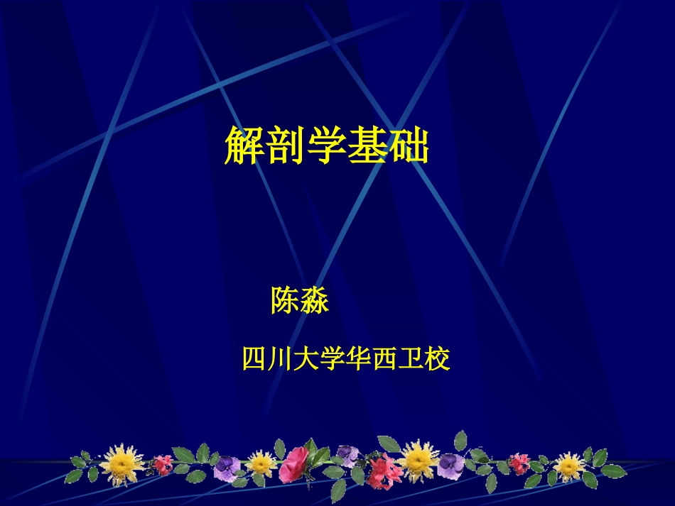 解剖学_基本组织_第1页