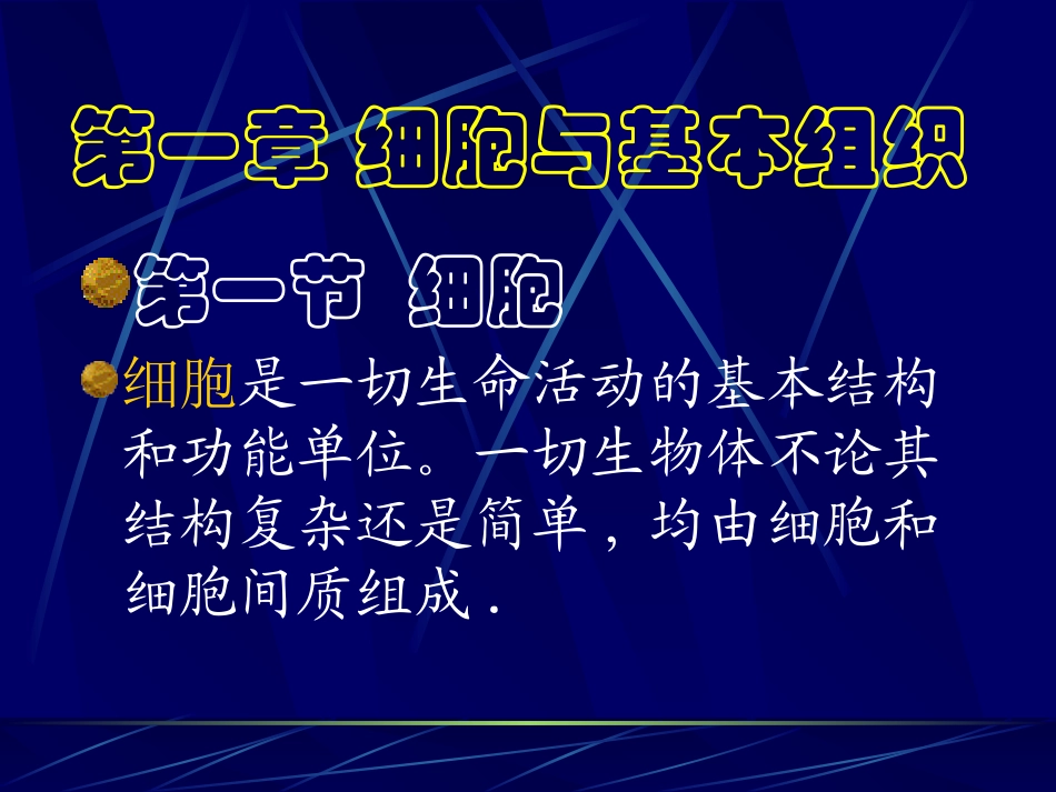 解剖学_基本组织_第2页