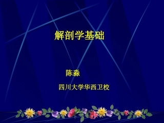 解剖学_基本组织