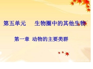 《腔肠动物和扁形动物》课件