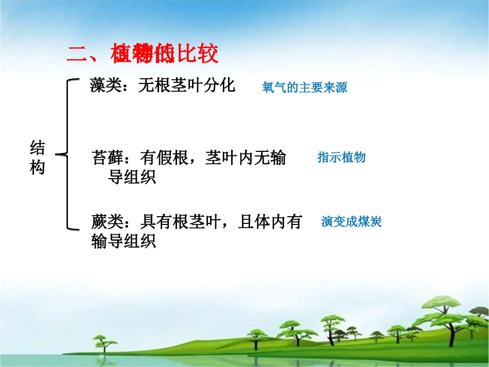 初中生物第三单元绿色植物复习课_第3页