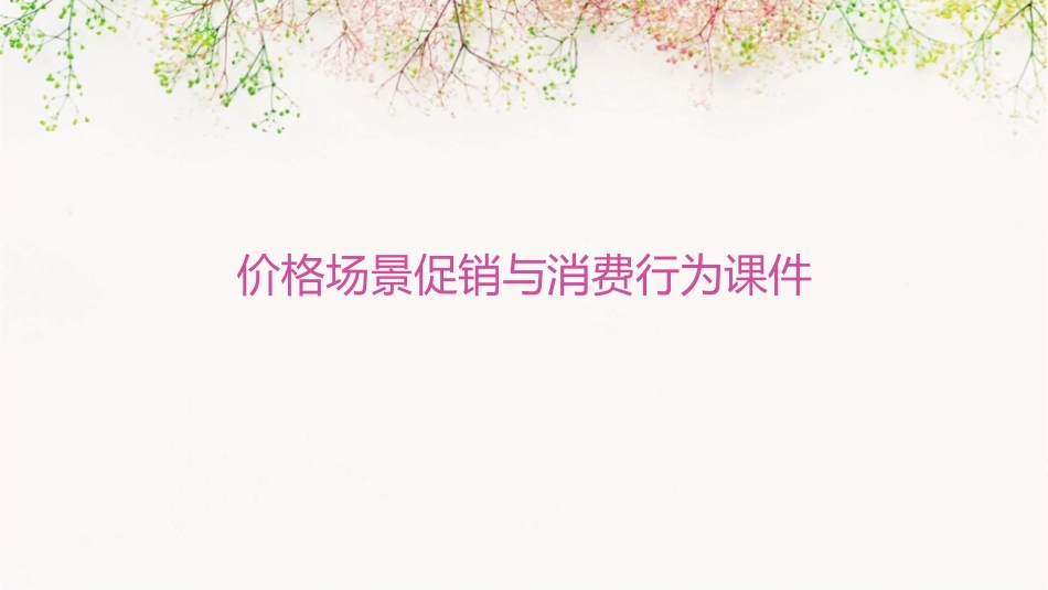价格场景促销与消费行为课件1_第1页