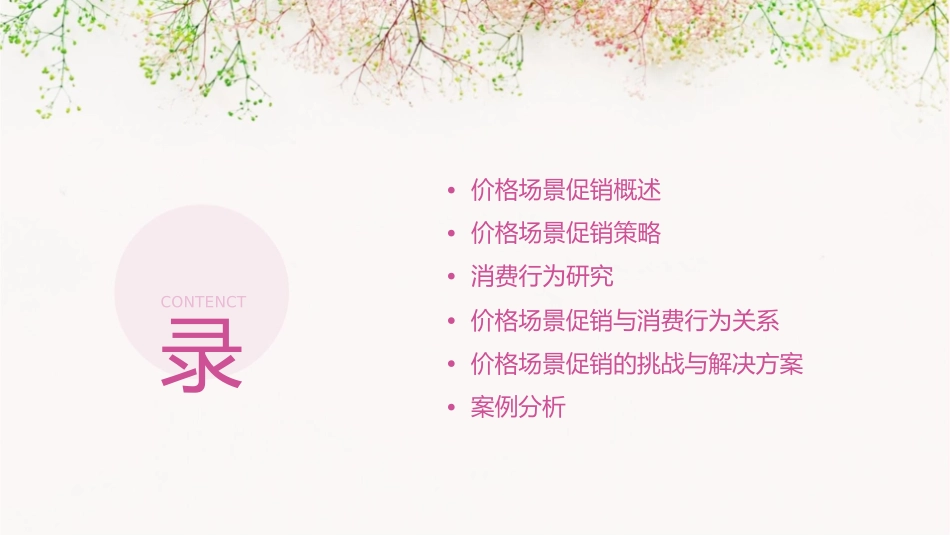 价格场景促销与消费行为课件1_第2页