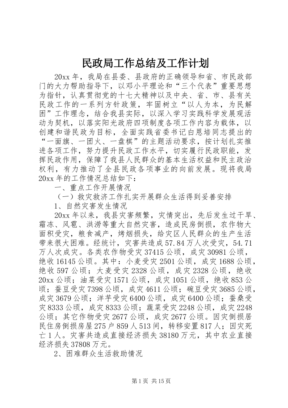 民政局工作总结及工作计划 _第1页