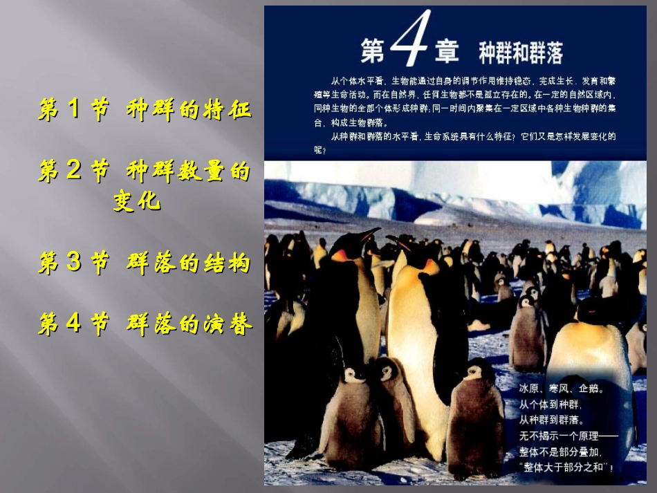 【精品课件】第4章第1节ZPPT_第1页