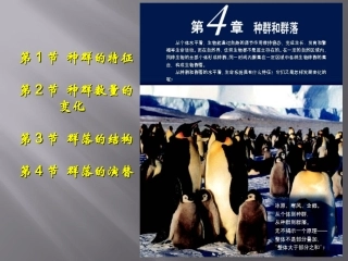 【精品课件】第4章第1节ZPPT