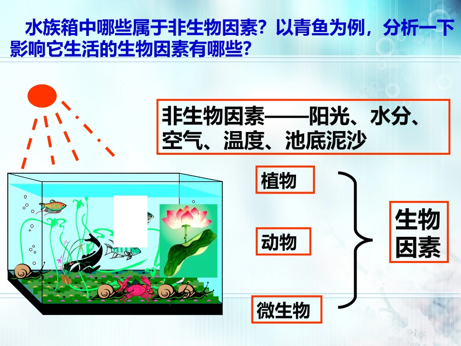 生态系统的组成和类型_第2页