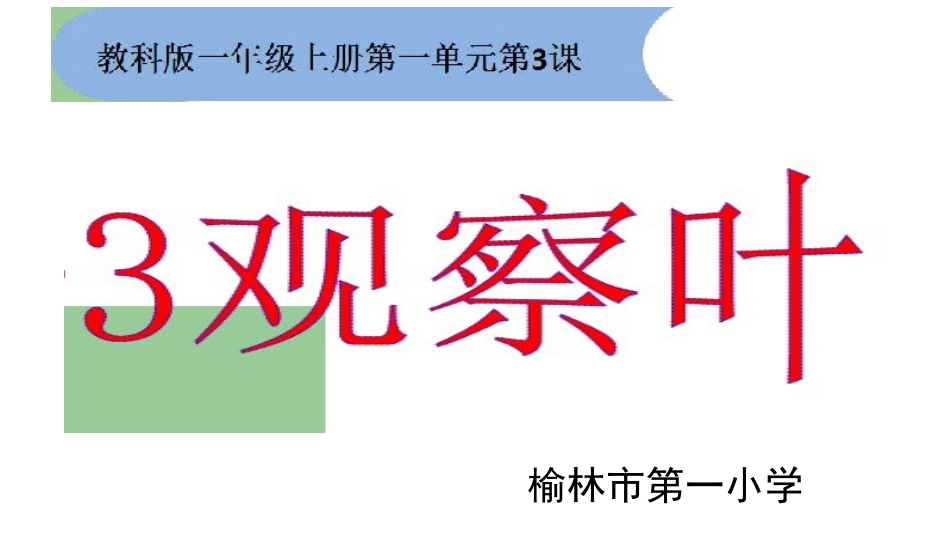 教科版一年级科学上册一、3.观察叶_第1页
