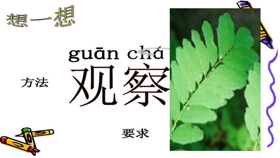 教科版一年级科学上册一、3.观察叶_第2页