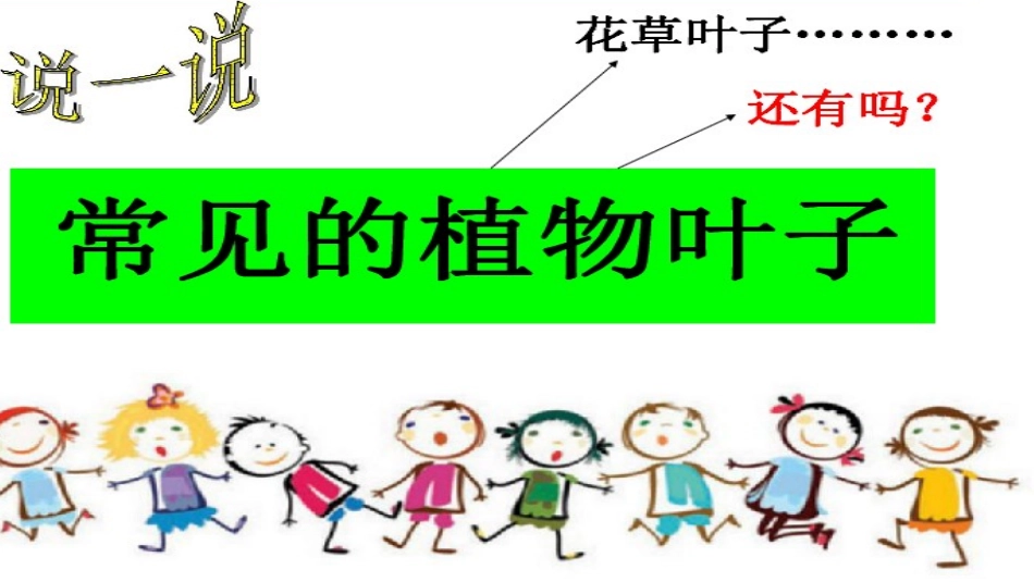 教科版一年级科学上册一、3.观察叶_第3页