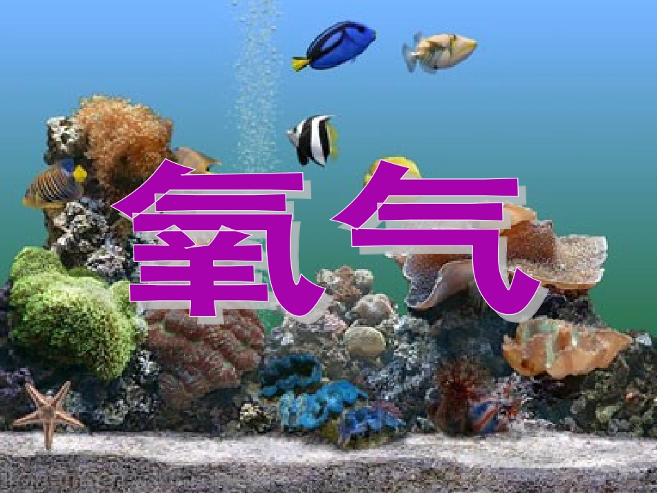 人教版九年级化学《氧气》_第1页