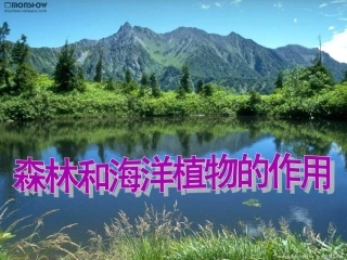 森林和海洋植物的作用,自然课