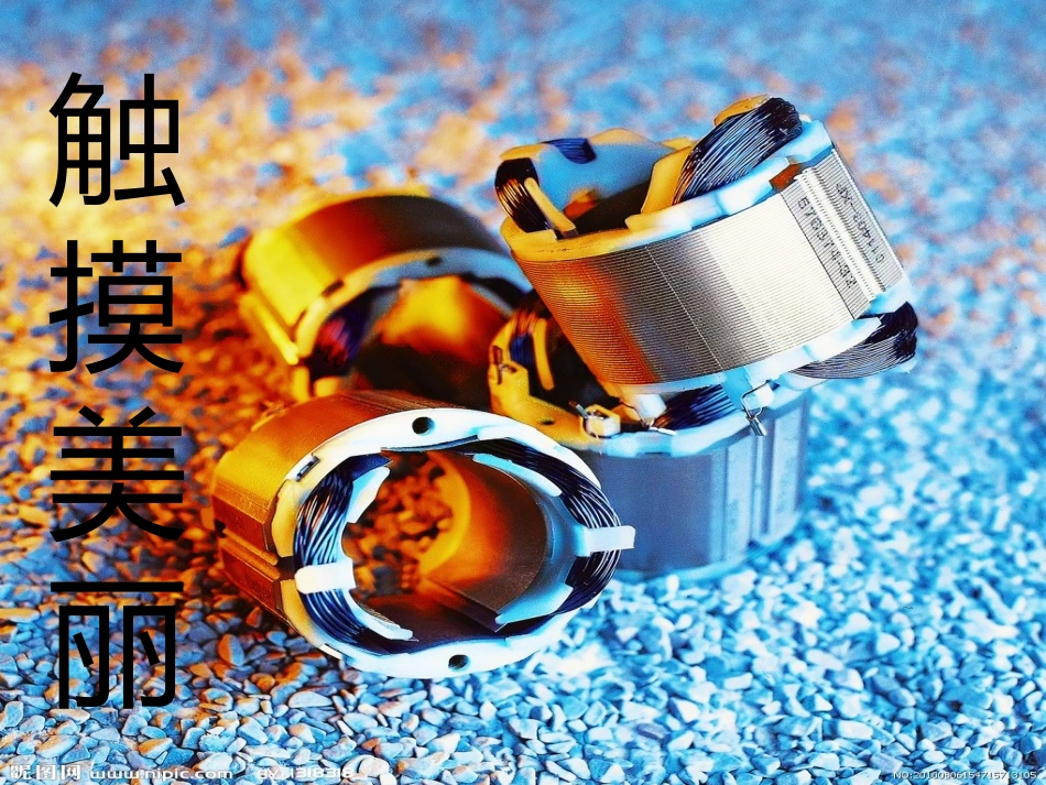 初二美术课件_触摸美丽1_第1页