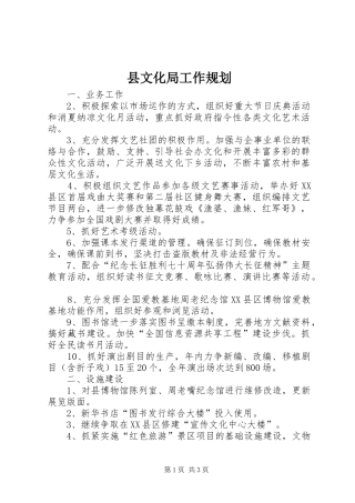 县文化局工作规划 
