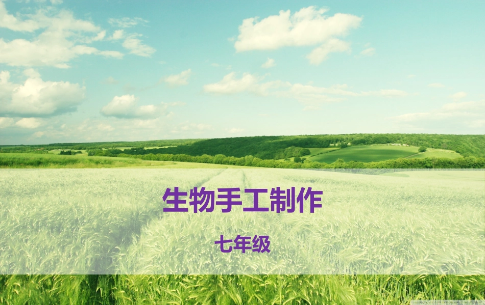 生物手工制作样本(完整版)_第1页