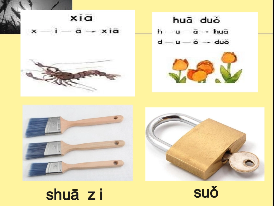 苏教版一年级语文汉语拼音课件_第2页