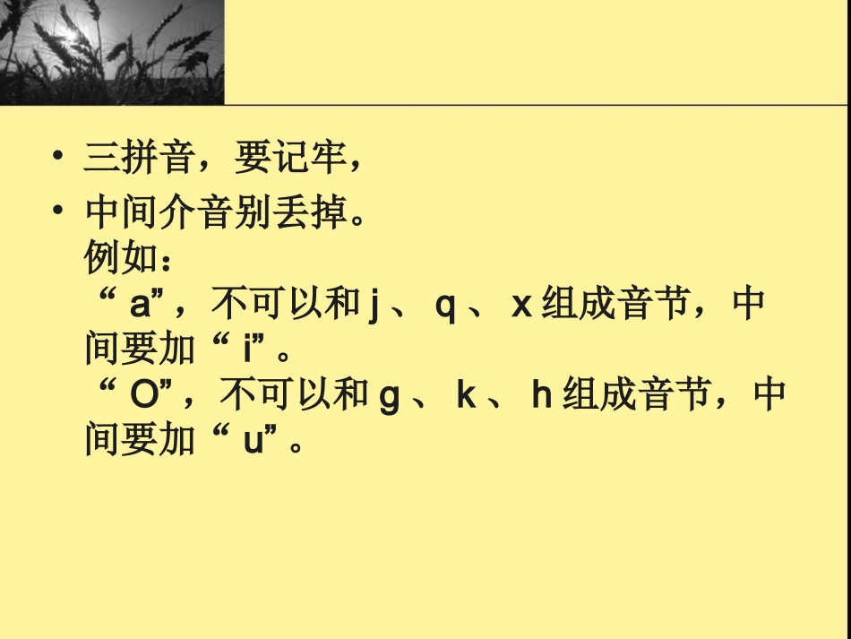 苏教版一年级语文汉语拼音课件_第3页