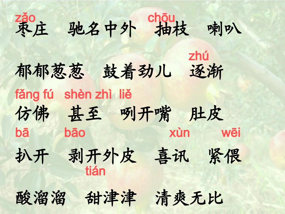 石榴123杨凝_第2页