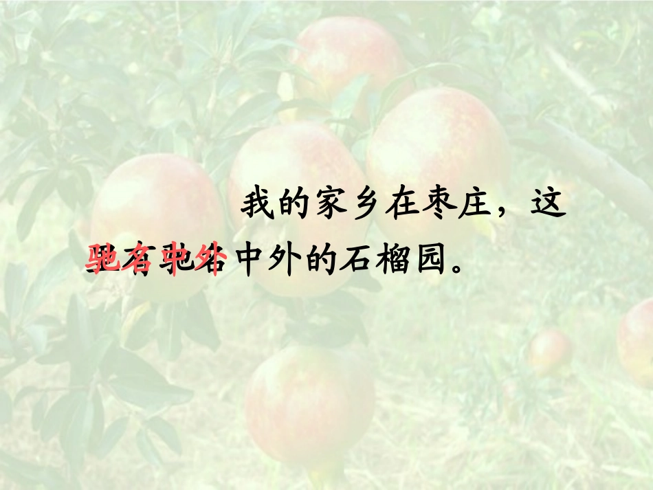 石榴123杨凝_第3页