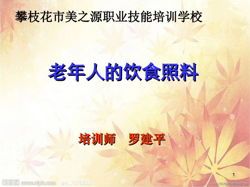老年人的饮食护理(罗建平六)_第1页
