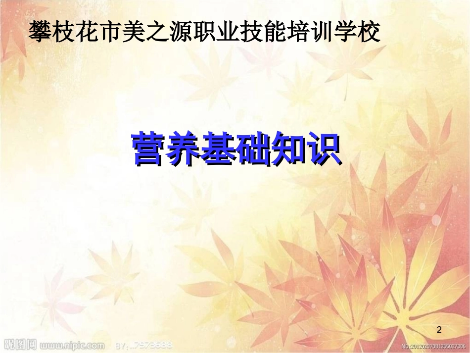 老年人的饮食护理(罗建平六)_第2页