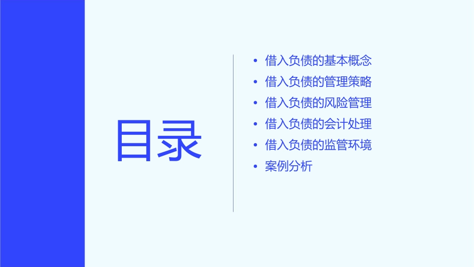 借入负债的管理课件1_第2页