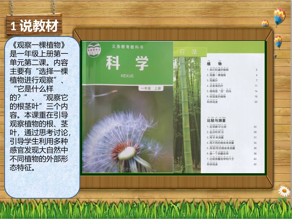 小学科学《观察一棵植物》PPT_第3页