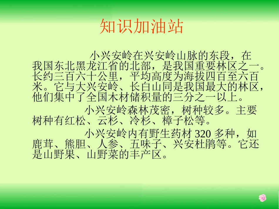 美丽的小兴安岭(公开课)_第3页
