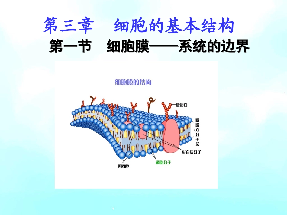 高一生物《细胞膜——系统的边界》PPT课件2_第1页