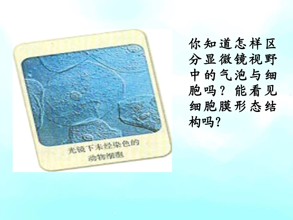 高一生物《细胞膜——系统的边界》PPT课件2_第2页