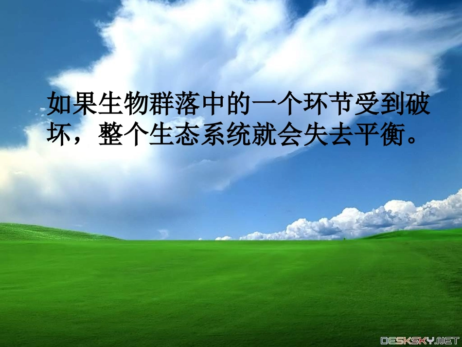 教科版科学五上《维护生态平衡》ppt课件1_第3页