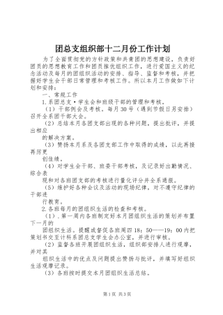 团总支组织部十二月份工作计划 