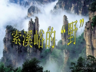 索溪峪的野 (5)