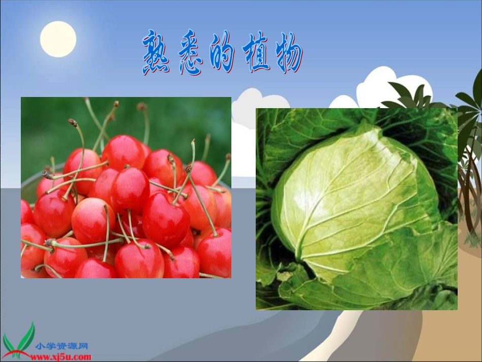 冀教版小学科学六年级上册《植物与能量》课件_第2页