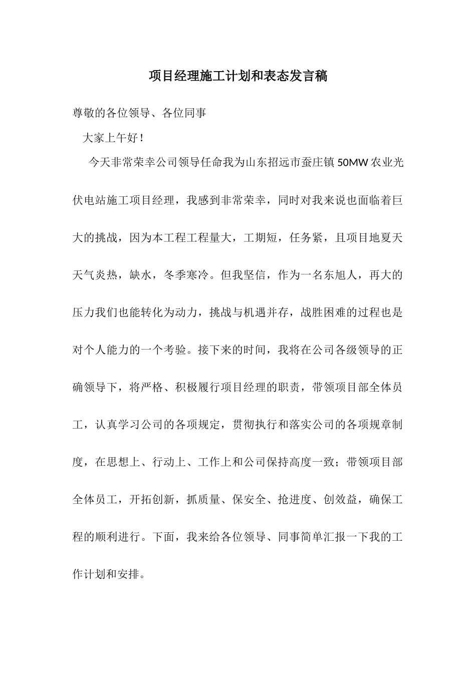 项目经理施工规划设想和表态_第1页