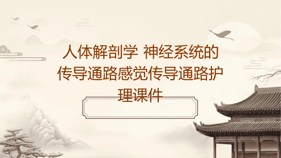 人体解剖学 神经系统的传导通路感觉传导通路护理课件1_第1页