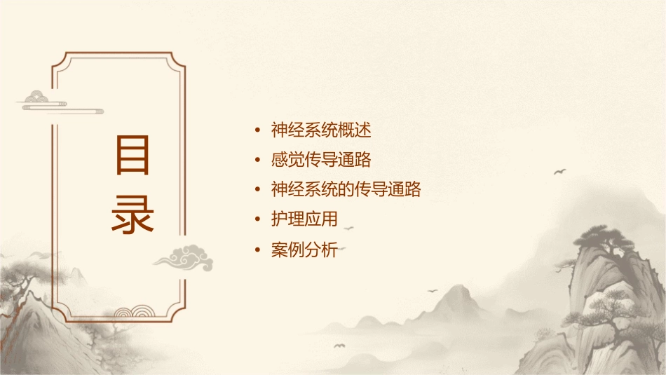 人体解剖学 神经系统的传导通路感觉传导通路护理课件1_第2页