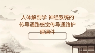 人体解剖学 神经系统的传导通路感觉传导通路护理课件1