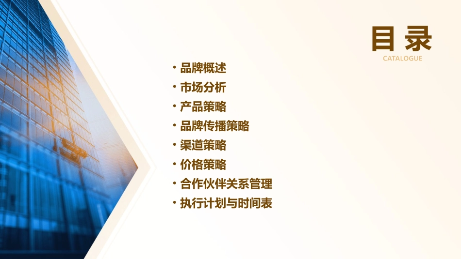 丝爽卫生巾品牌策略提案课件_第2页