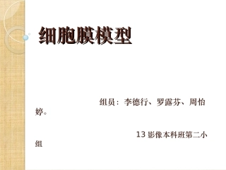细胞膜模型制作