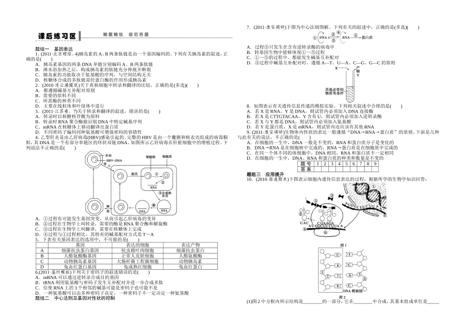 学案25基因指导蛋白质的合成_第3页