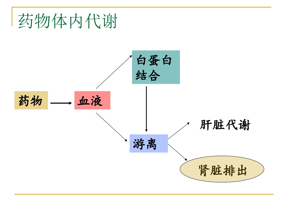 肾内科——肾功能不全抗生素选择_第2页