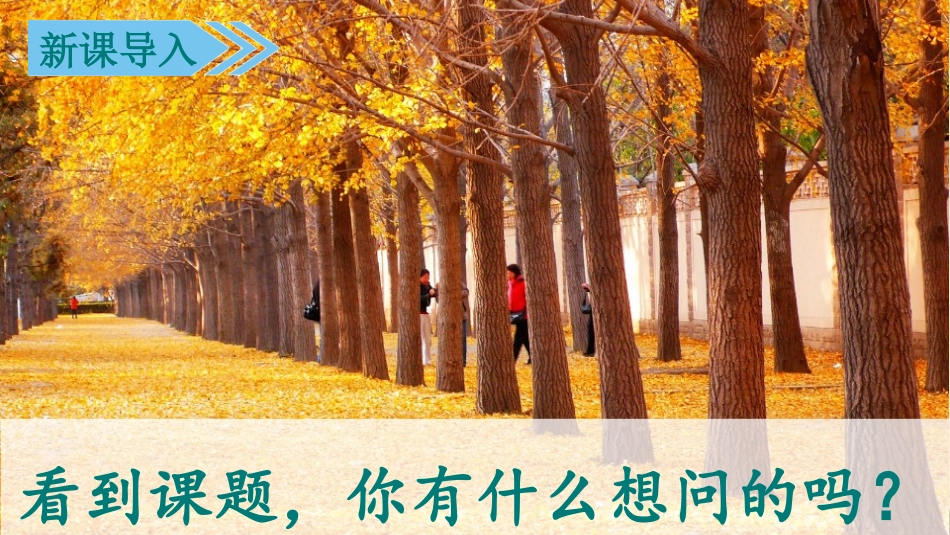 人教部编小学三年级语文上5铺满金色巴掌的水泥道_第3页