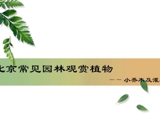 园林常用小乔木及灌木
