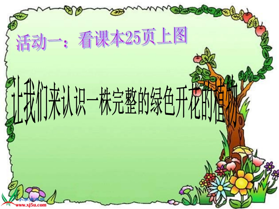 植物和我们.ppt_第3页