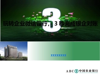 中国农业银行产品创意大赛获奖ppt