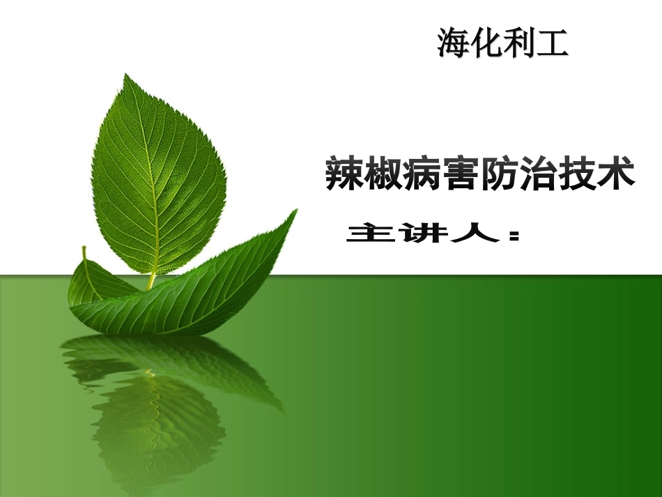 辣椒的常见病害及防治_第1页