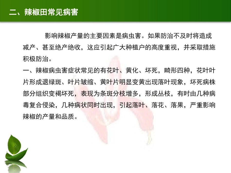 辣椒的常见病害及防治_第3页